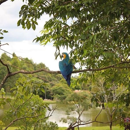 Pousada Fazenda Buracao Mococa Esterno foto