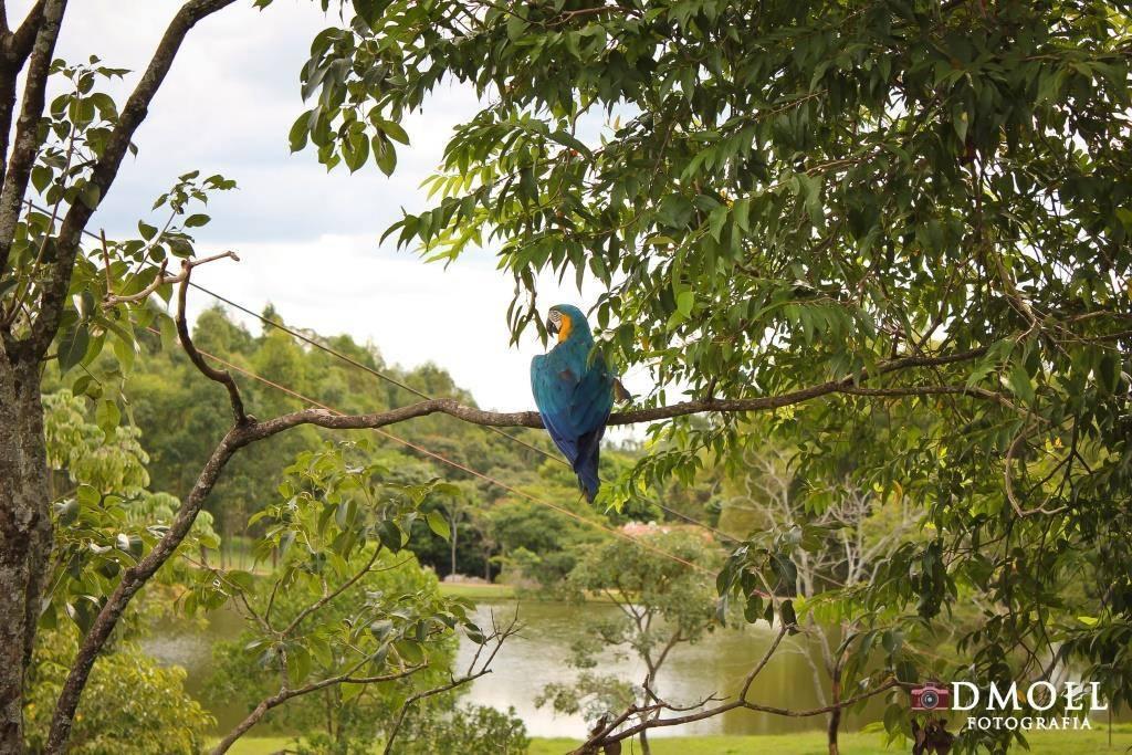 Pousada Fazenda Buracao Mococa Esterno foto